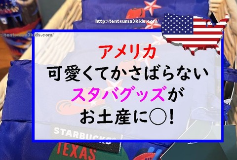 キャプチャ4
