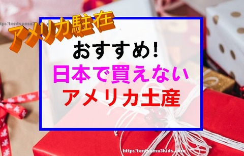 キャプチャ3