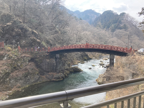IMG_2682_6