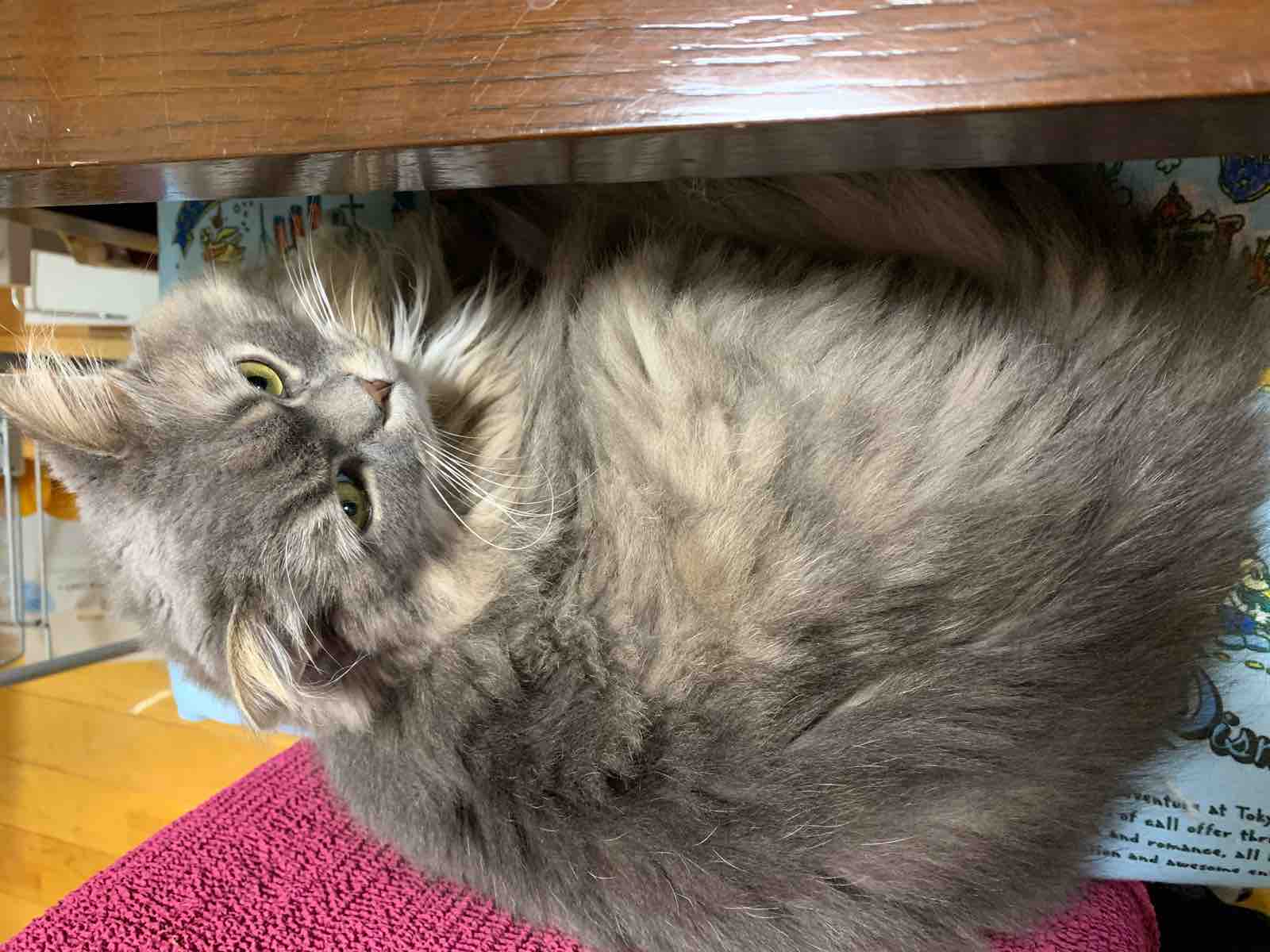 5B76128B-6D87-46BF-97C2-5037A8746869