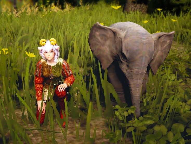 とりかえっこ子象さん 黒い砂漠でゆるるん