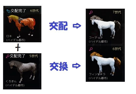 7世代馬 ８頭め ５世代 ６世代 黒い砂漠でゆるるん