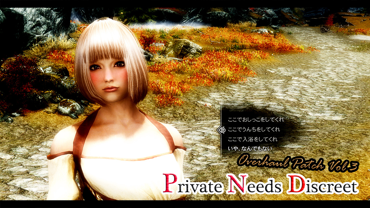スカイリム ポエット SEX PND Overhaul Patch Vol3 Shinshi Edition (魔改造パッチ) : Feel Complacency ~妄想と現実の狭間~