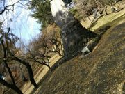 DSC_0315.JPG