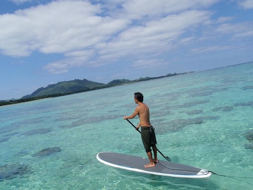 img_939102_29432324_6