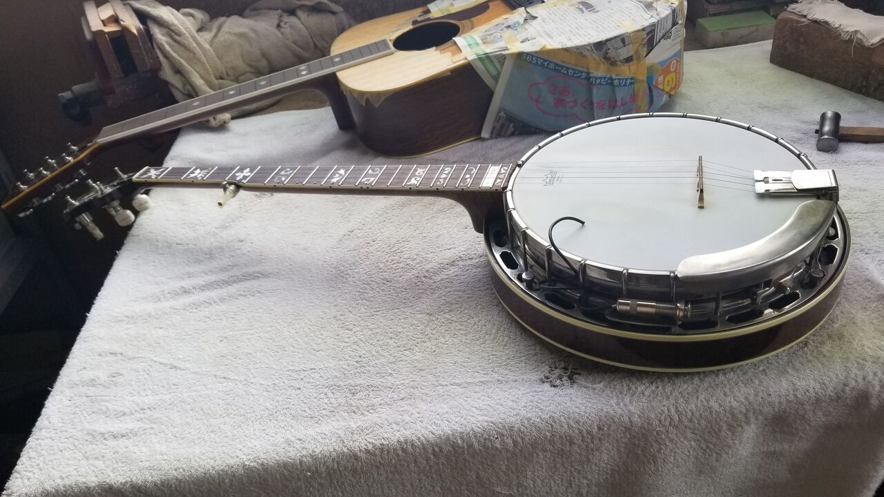 バンジョー退院 ブルーグラスバンド キングサイズ