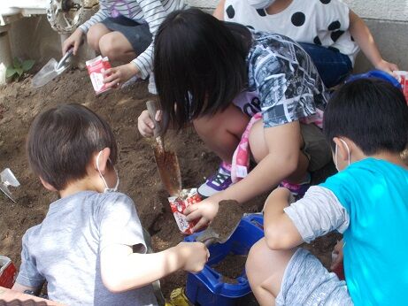 ３年 理科 種まき 寺地小のblog