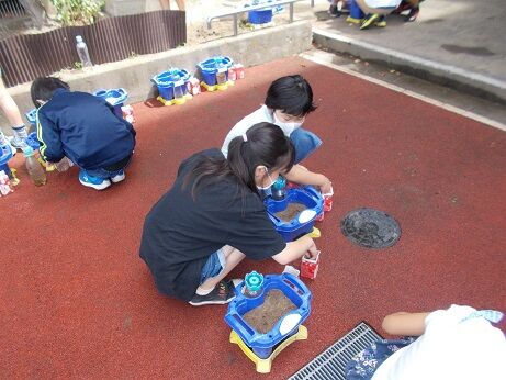 ３年 理科 種まき 寺地小のblog