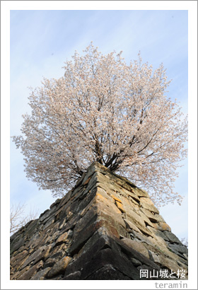 ������Ⱥ�2