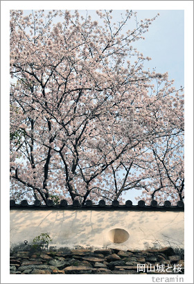 ������Ⱥ�3