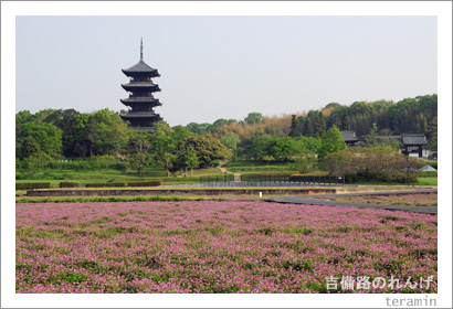 ����ϩ�Τ�󤲡��̿�1