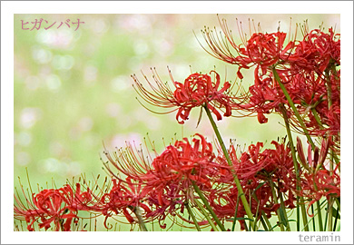 �ҥ���Хʡ���߲֡�3