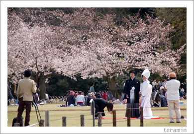 ��ڱ�νա�������4