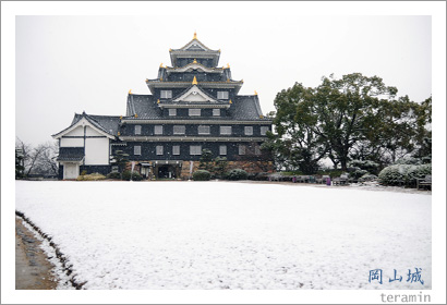 ������β�����1