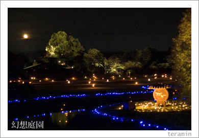 ��ȸ�������2