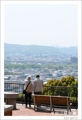 Ⱦ�Ļ���ʪ�ࡡ�̿�2