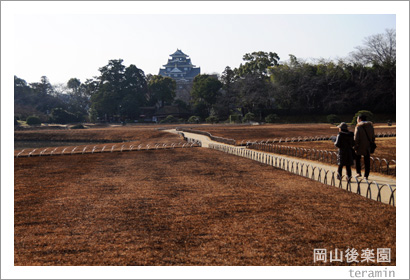 ������ڱࡡ�ǾƤ��̿�1