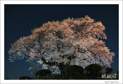 �������̿�2009_5