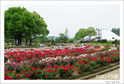 RSK�Х�ࡡ�̿�1