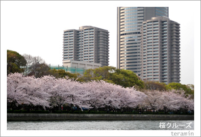 �����롼��1