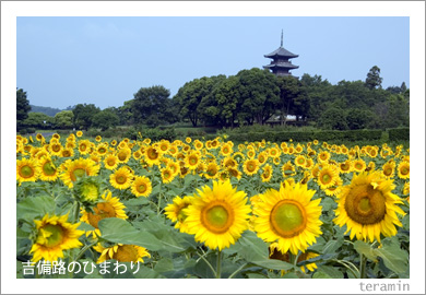 ����ϩ�ΤҤޤ��1