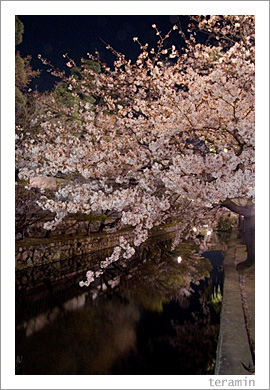 ������������϶�Ⱥ�2