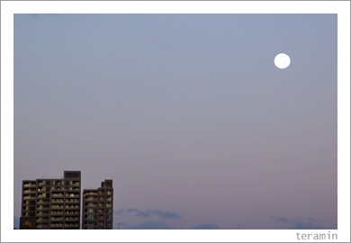 �������η�2