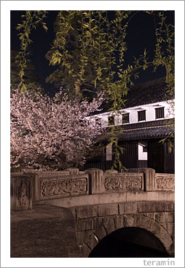 ������������϶�Ⱥ�1