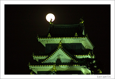 ��Ȳ�����2