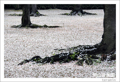 kourakuen110416