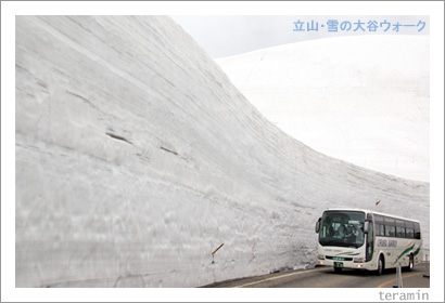 立山・雪の大谷3