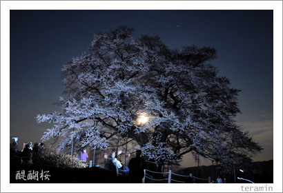 �������̿�2009_3