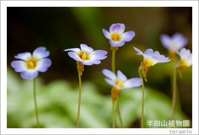 handayama120219_3