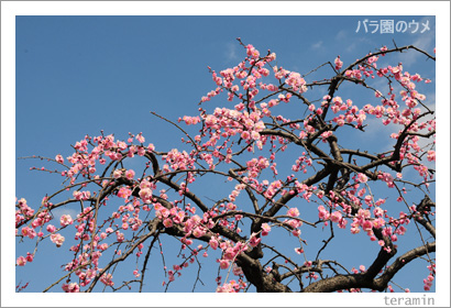 RSK�Х�����3