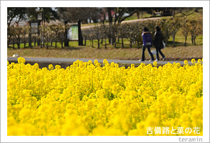 ����ϩ�Ⱥڤβ֡��̿�2