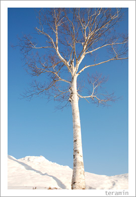 �ǻ���ʿ�4