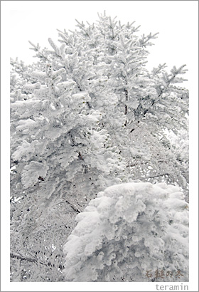 ���ʤ���5