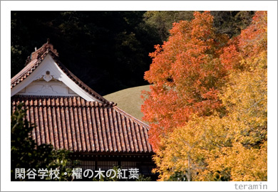 ��ë�ع���ݥ���ڤι���2