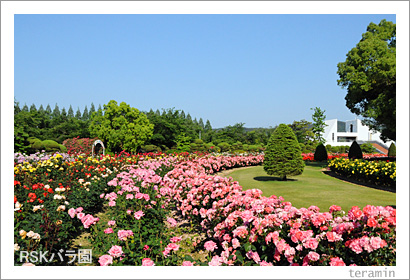 RSK�Х�ࡡ�̿�2