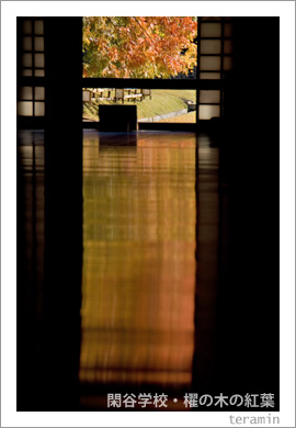 ��ë�ع���ݥ���ڤι���3