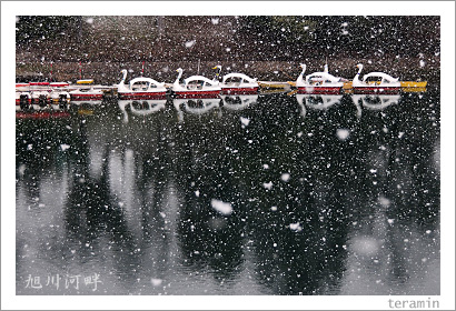 ������ΰ������