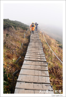 大山登山と紅葉6