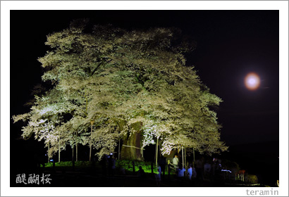 �������̿�2009_1