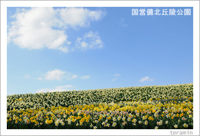 ���̵��͸��ࡡ��������ե��󥿥������̿�1