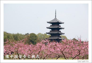 �����ʬ��������1