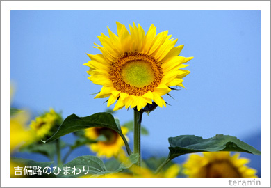 ����ϩ�ΤҤޤ��2