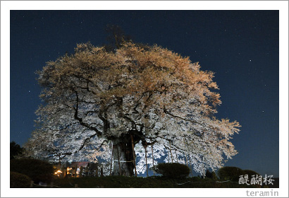 �������̿�2009_4