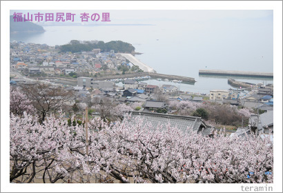 �Ŀ��ΰɡ��̿���