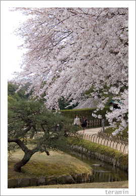 ��ڱ�νա�������1