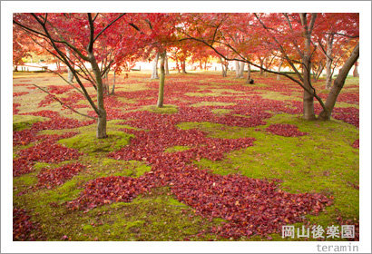 kourakuen131201_1